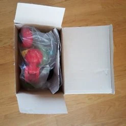 Vendora Τιμονιέρα για παιδικό καροτσάκι. 7 Vendora Τιμονιέρα για παιδικό καροτσάκι. -Vendora store 75d8fea4d86f594b8da278de4450075030819cf2 xl