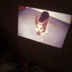 Vendora Projector -Vendora store a731334a7a9dc8ea3d980a267de7ea0282d745ee xl