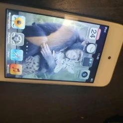 Vendora Ipod 4th Gen -Vendora store c7f8d396f8ebc7d4c99094f554fdfebe7d43cfa5 xl