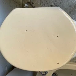 Vendora VINTAGE καζανακι του 70" μπεζ -Vendora store fb584657d205a9b983fd7a86cc2a334b54ec8f6f xl